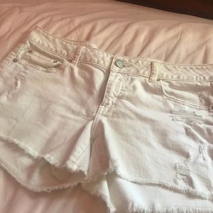 White Mid Rise Distressed Shorts